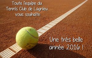 Bonne année 2016 !