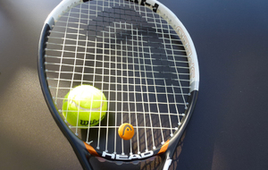 Journées L.A.S.E.R Printemps