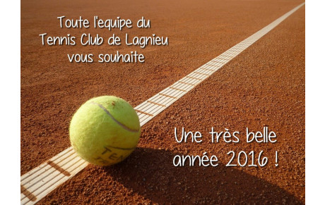 Bonne année 2016 !