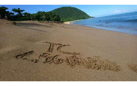 Découvrez vos groupes d'entrainement !